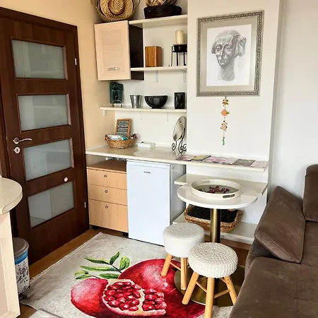 아파트 Downtown With Working Kitchen, Views & Free Parking Kazanlŭk
