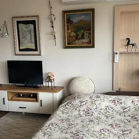 Downtown Private With Full Kitchen, Panoramic Views, Self Check-in & Free Parking, English, Bulgarian, Lanaguages Ok! Apartment Kazanlak